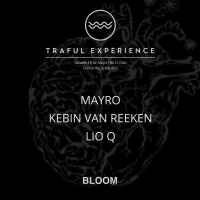 BLOOM V. 9 - TRAFUL EXPERIENCE