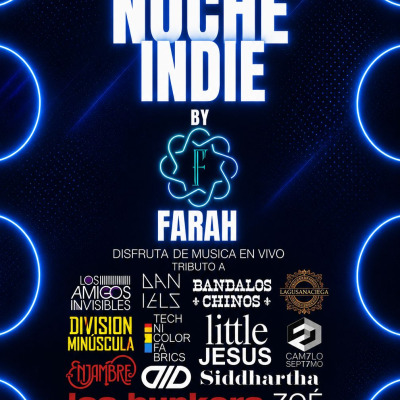 NOCHE INDIE / CD JUAREZ