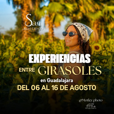 Experiencias Entre Girasoles