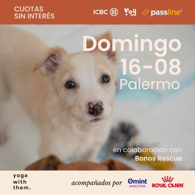 Edición n141- Yoga con perritos