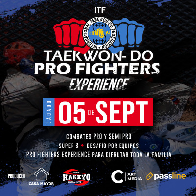 PRO FIGHTERS EXPERIENCE