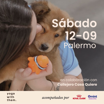 Edición n144- Yoga con perritos