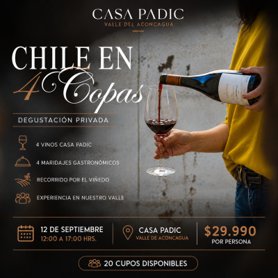Chile en 4 Copas