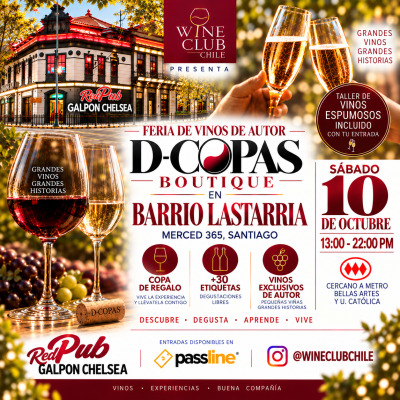 D-COPAS BOUTIQUE EN RED PUB GALPON CHELSEA | BARRIO LASTARRIA
