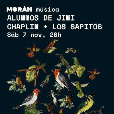 Alumnos de Jimi Chaplin + los sapitos #música