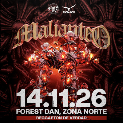 14.11 MALIANTEO EN FOREST DAN
