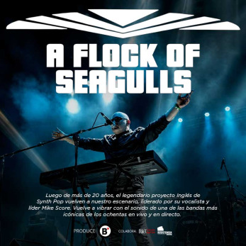 A Flock of Seagulls en Vivo