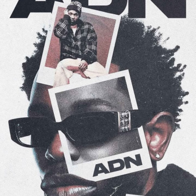 ADN 8/11