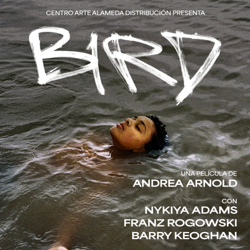 BIRD / Centro Arte Alameda