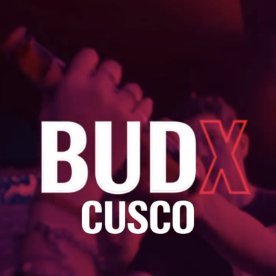 Bud X - Cusco
