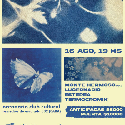 cámara de eco vol 12. Monte Hermoso, Lucernario, Esterea, Termocromik en Oceanario