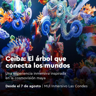 Ceiba: el árbol que conecta los mundos