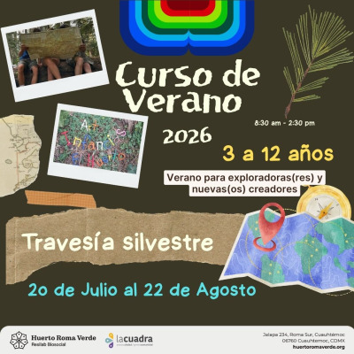 Curso de Verano 2026
