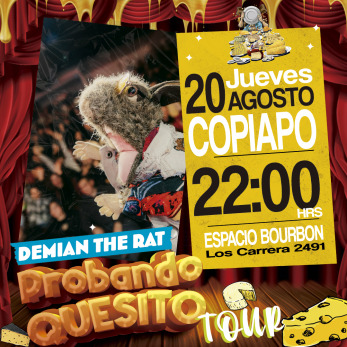 Demian The Rat Probando Queso Copiapo!