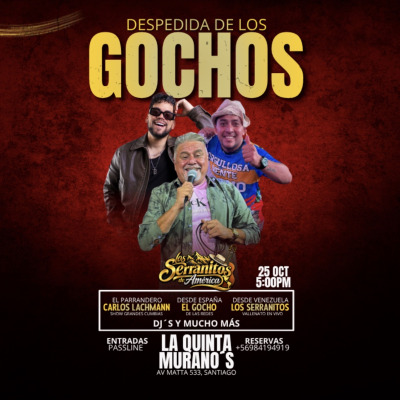 DESPEDIDA DE GOCHOS