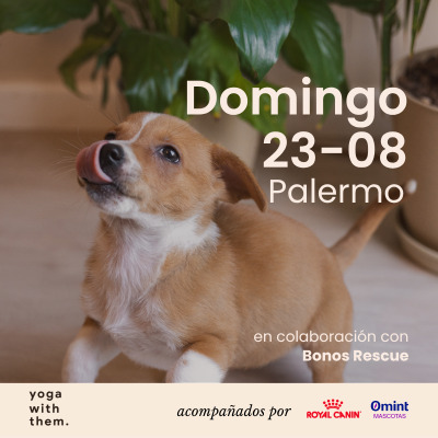 Edición n142- Yoga con perritos