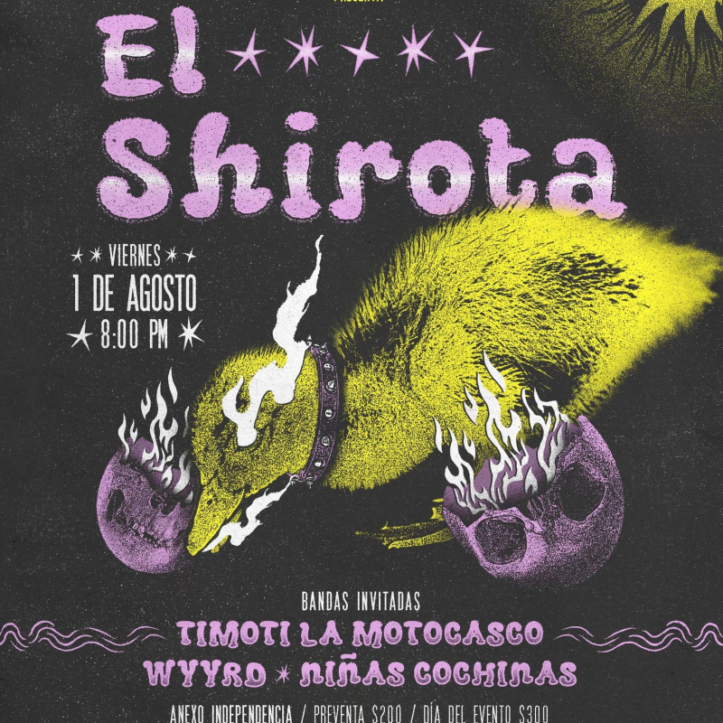 Niñas Cochinas: punk sem filtros de Guadalajara