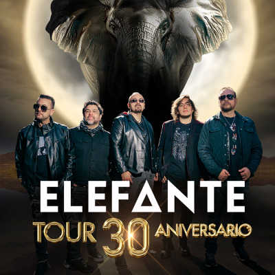 Elefante