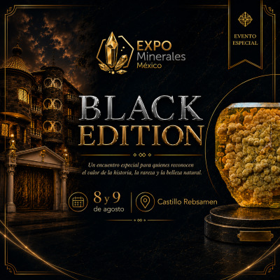 Expo Minerales México | Black Editon