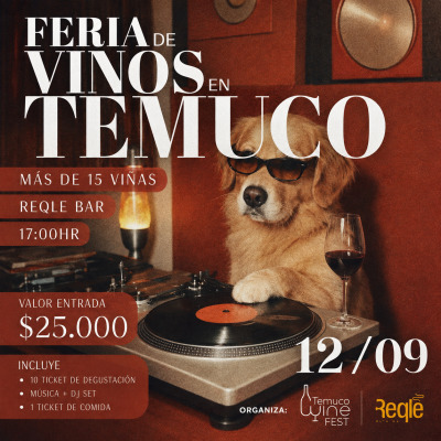 FERIA DE VINOS EN TEMUCO