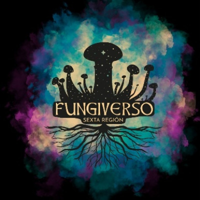 Festival Fungiverso