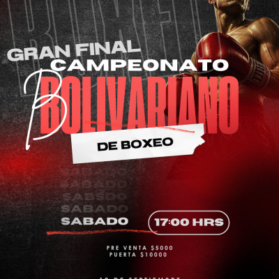 Final bolivariano de boxeo