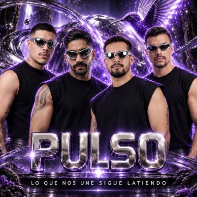 FULLY PULSO DOM 25
