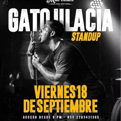 GATO ULACIA STAND UP