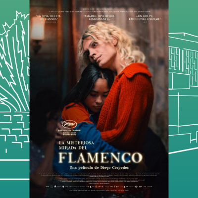 LA MISTERIOSA MIRADA DEL FLAMENCO