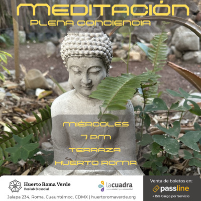 Meditación Plena Conciencia