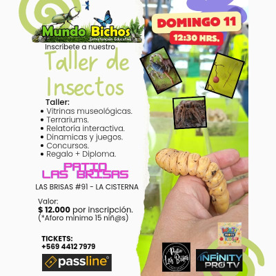 Mundo Bichos en Patio Las Brisas