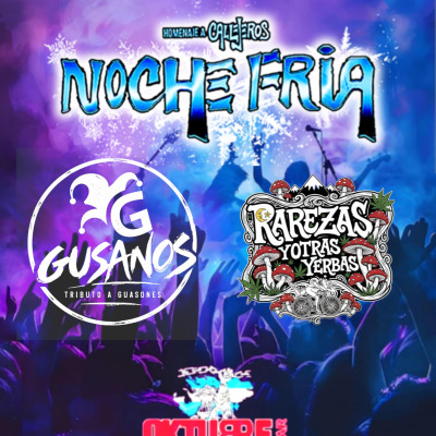NOCHE FRIA Y GUSANOS