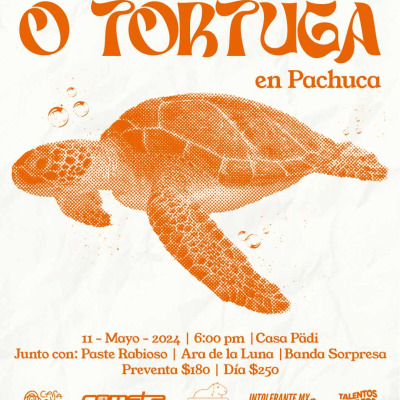O Tortuga en Pachuca