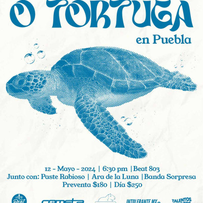 O tortuga en Puebla