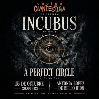 On My Own - Molly ( Tributo A Perfect Circle. - Incubus)