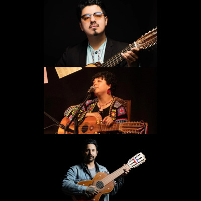 PAYA CHILENA