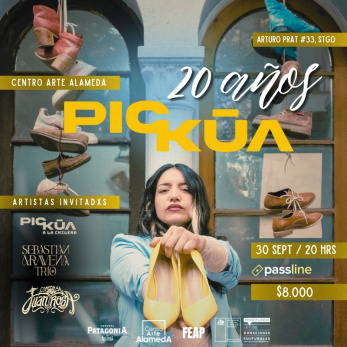 Pickua en Centro Arte Alameda