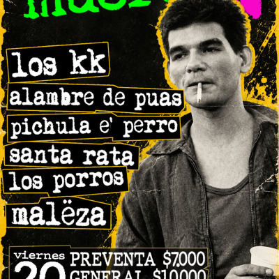 ¡PUNK NO MUERE VOL. 2!