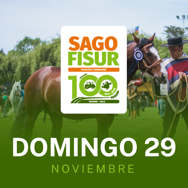 SAGO FISUR 2026 - DOMINGO