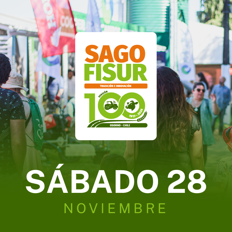 SAGO FISUR 2026 - SÁBADO