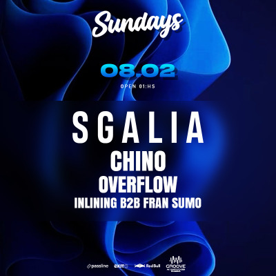 Sundays by Groove @ Domingo 8 de febrero 2026