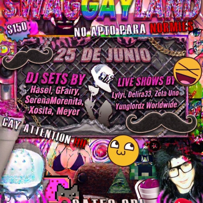 SWAGGAYLAND