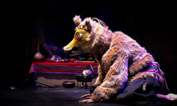 Imagen del evento: Un zorro en el Wenumapu