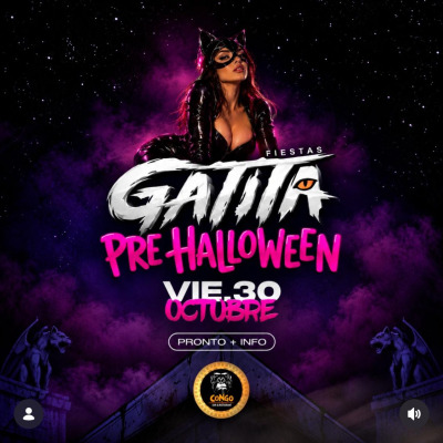 VIE 30 // GATITA