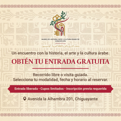 Visitas al Museo de Historia, Arte y Cultura Árabe de Concepción