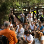 Festival Conciencia