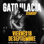 GATO ULACIA STAND UP