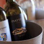 Sonidos del Vino 2026*