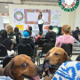 EXPO MUNDO MASCOTAS